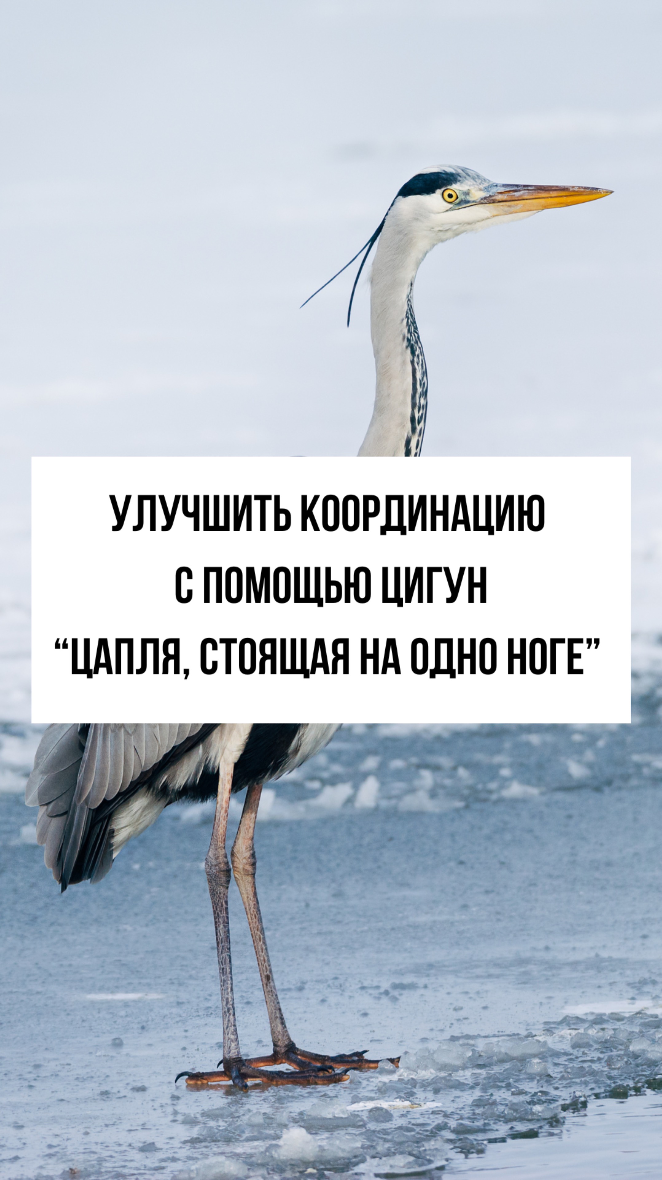 Как активировать лимфоток и улучшить координацию с помощью цигун