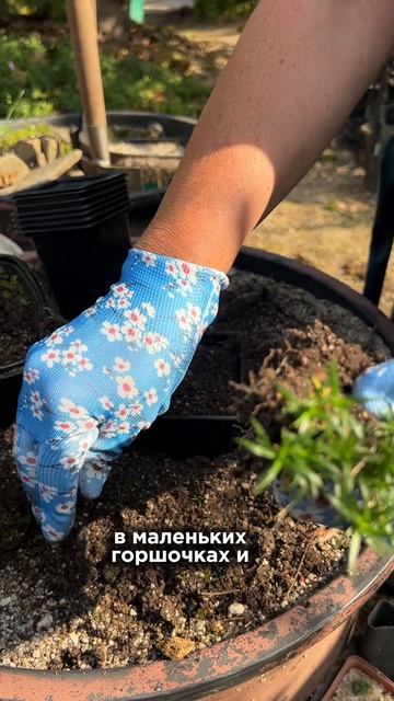 Садовая вилка-грабли 
Артикул ВБ 398951627