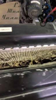 Чудеса в автосервисе. Гнездо.