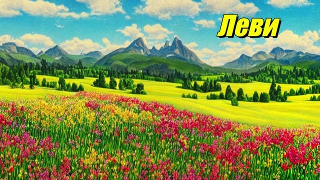 Леви