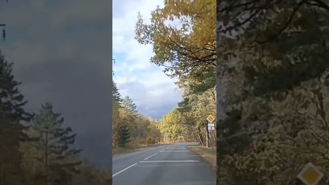 9 октября 2023 г.
