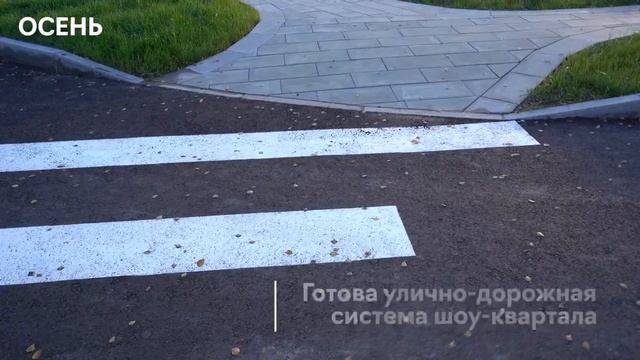 Негород Токсово → Прогресс за 2023 год