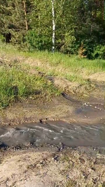 ВСЕ В ФЕКАЛИЯХ: на улице Рассветная прорвало канализацию. Льёт почти сутки.