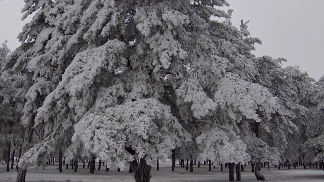 Поэтические минуты. СКАЗКА ПРО МАРГО (Евгения Вернигорова)