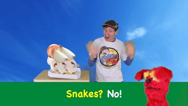 Magic pizza song