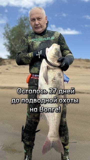 До подводной охоты 27 дней! #shorts