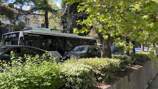 Ялта. Весенние городские зарисовки. Апрель/май 2025. Крым. Crimea. Yalta.