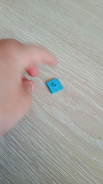 1000000604.mp4