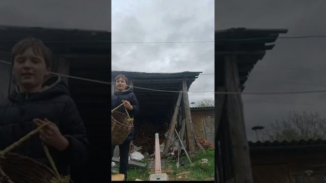 Сколько дров я смогу унести