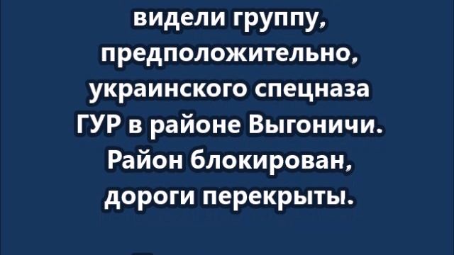 В Брянском приграничье идёт операция по поиску и ликвидации ДРГ