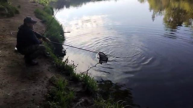 Карпуша на кукурузу
