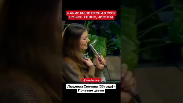 Полевые цветы 💐
