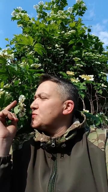Тут в интернете хоронили Надежду Савченко. Пока еще рано. Еще где-то бегает....