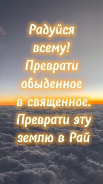 16 апреля 2024 г.