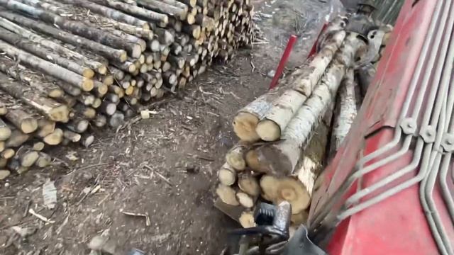 Подборка делянки и погрузка осиной на город 🏙️