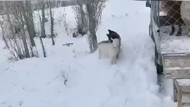 Песня