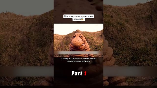 Фильмы с названием ⬇️