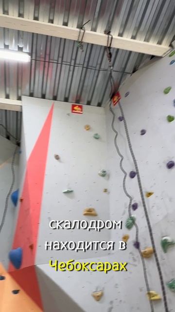 Скалодром как бизнес. Ссылка на интервью с руководителем скалодрома. #скалодром #интервью #бизнес
