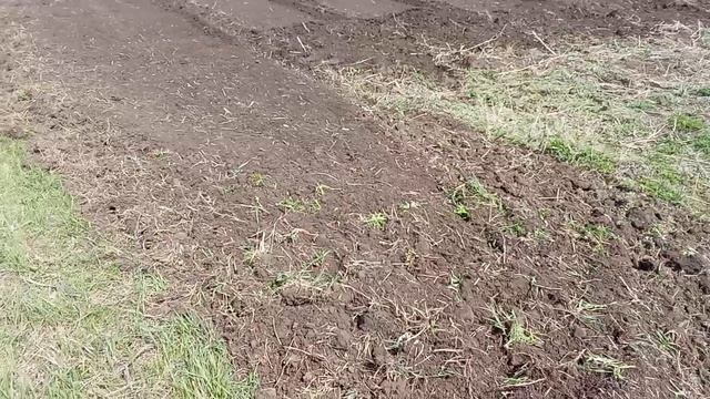 Убрал мусор в огороде и не ожидал что землю вспашут.mp4