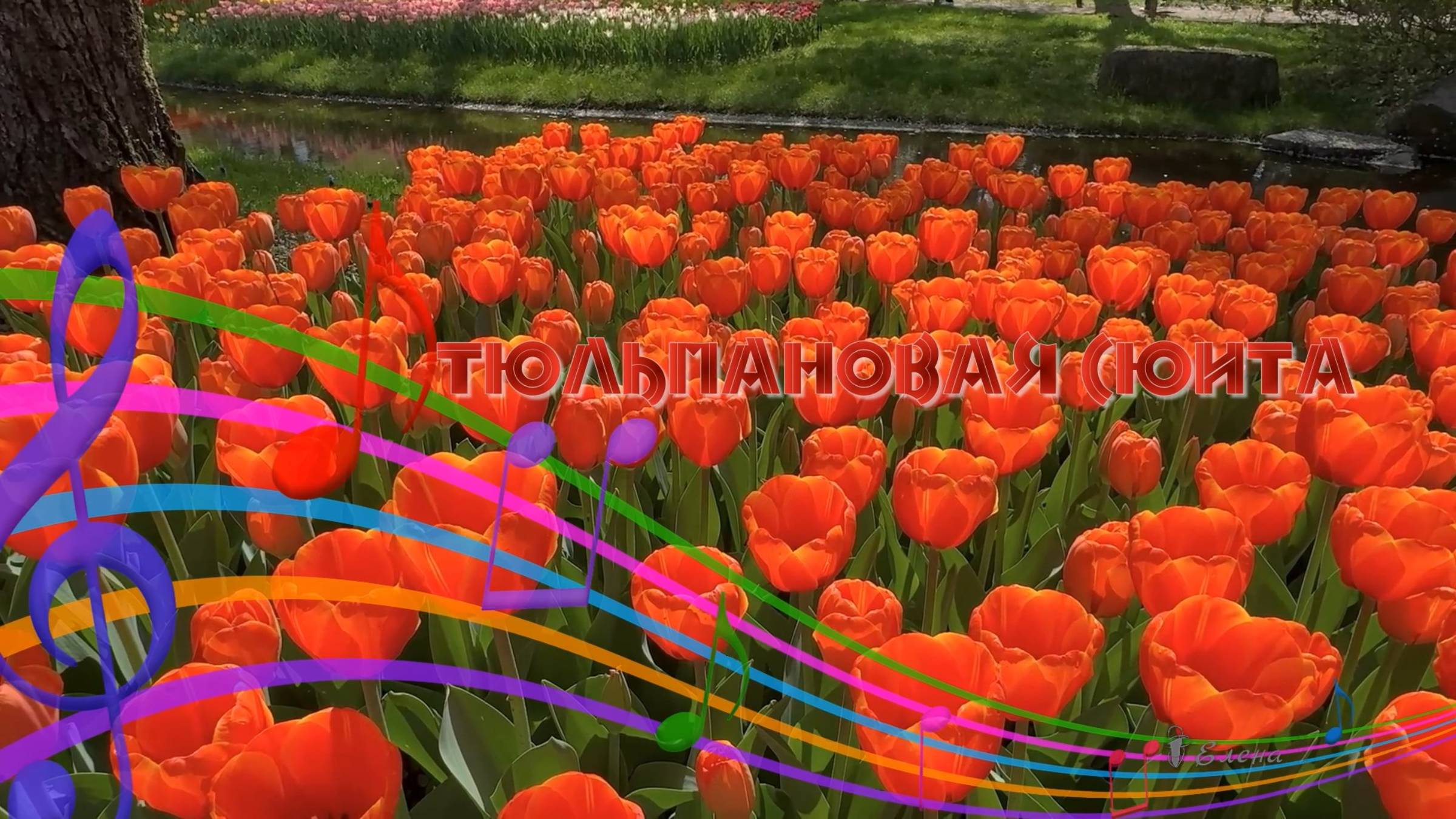 Тюльпановая сюита   Парк Showa Kinen  Автор музыки Эдгар Туниянц