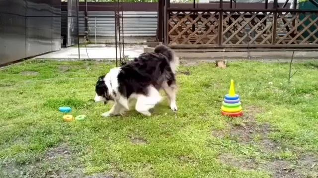 1000000673.mp4