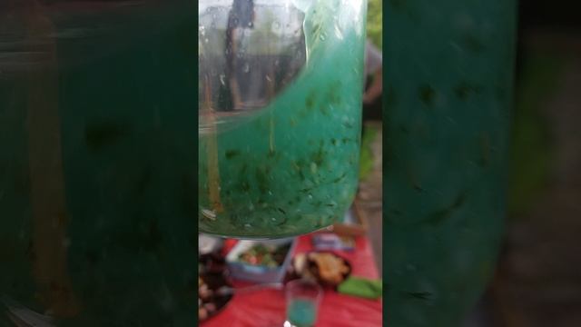 ПП Правильное питьё