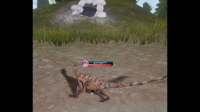 Эдит the cursed isle