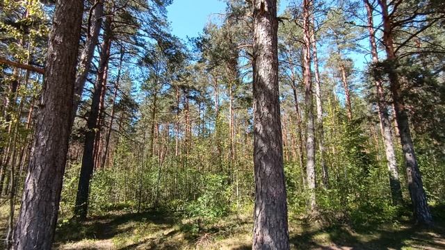 снт Кебь уч 309.mp4