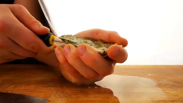 vanzai [ ванзай ] EXPENSIVE OYSTERS VS MUSSELS   WHAT TASTES BETTER