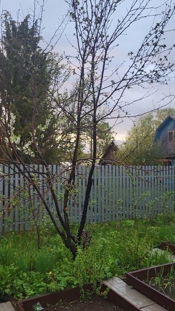 Нереальная красота