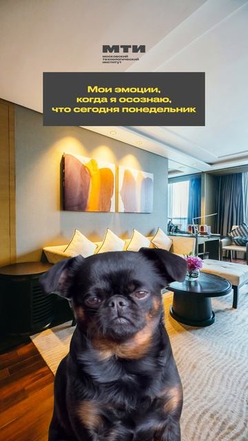 Как ваше настроение сегодня?