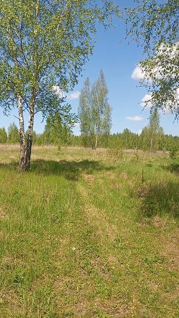 Село👍👍👍