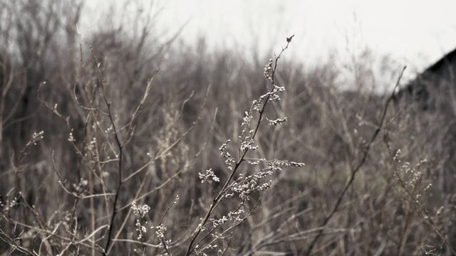 БАЛАШОВСКАЯ ТВОРЧЕСКАЯ ГРУППА ВЫПУСТИЛА РОЛИК «ИХ РАССТРЕЛЯЛИ НА РАССВЕТЕ»