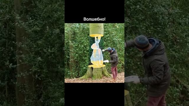 VID-20240608-WA0002