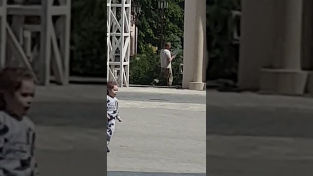 20250522_102902_2.mp4 всех поймаю