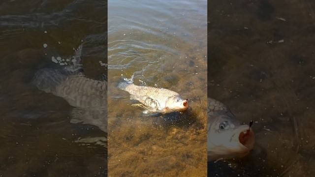 1000013234.mp4