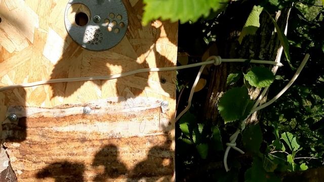 Video.Guru_20250521_203025030.mp4