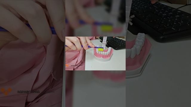 Как правильно чистить зубы!