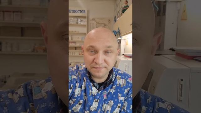 Как ветеринар оказал первую помощь в самолёте