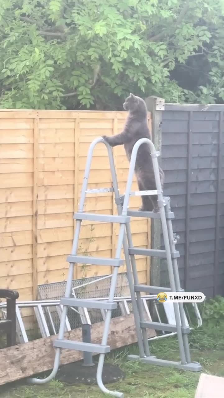 Наблюдательный пункт😆