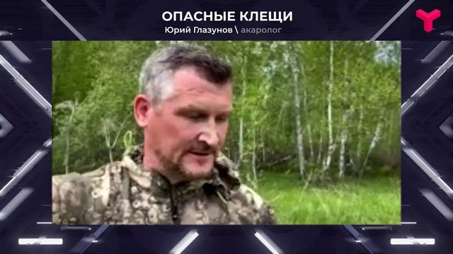 Клещи в городе