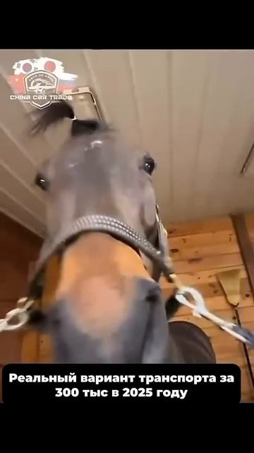 Что посоветуете приобрести в бюджет 300 т.р.?)