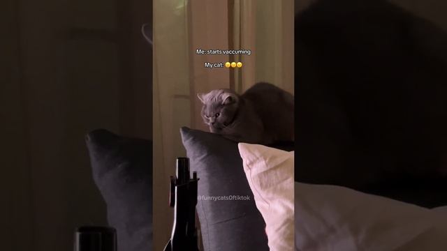 я свое согласие на съёмку не давал,убери камеру.📸📸