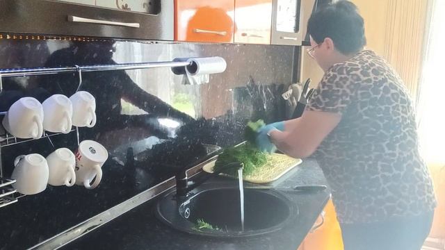 21.05.2025г. 2 часть.
УКОРЕНЯЮ ЧЕРЕНКИ ГОРТЕНЗИИ// ЗАМОРОЗИЛА УКРОП// НАВЕЛА ПОРЯДОК ЗА ЗАБОРОМ