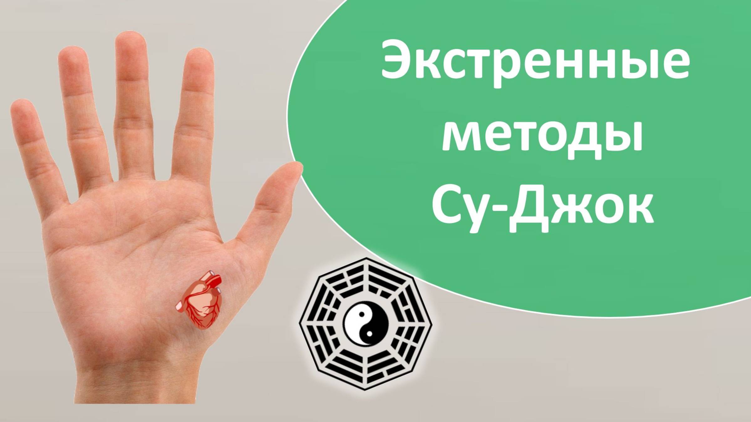 Экстренные методы Су-Джок 08