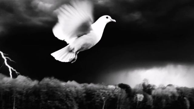 А под берёзкой ясной, голос прошептал/And under a clear birch tree, a voice whispered