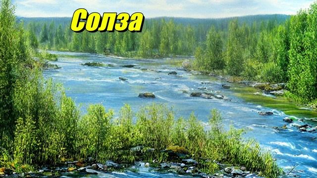 Солза