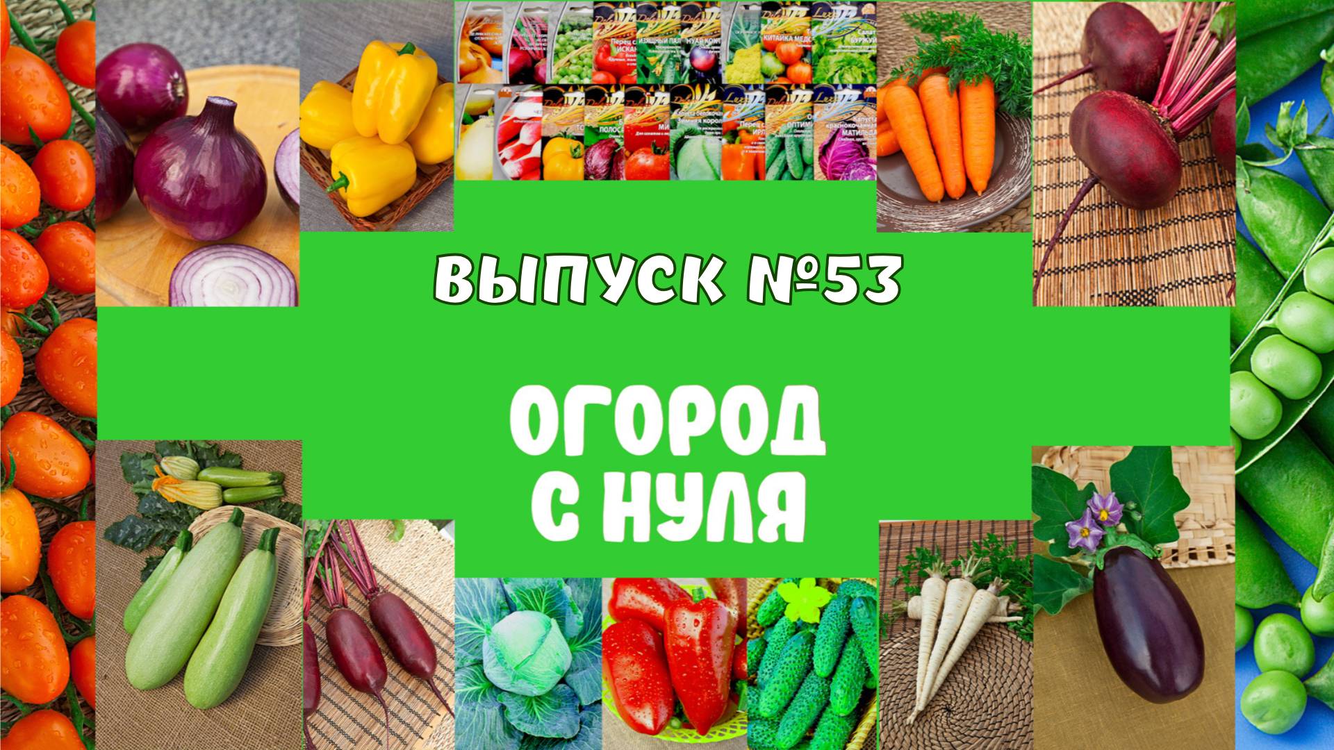 53. Профилактика болезней растений без -химии-