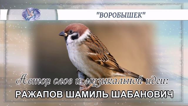 РАЖАПОВ ШАМИЛЬ ШАБАНОВИЧ - слова и музыкальная идея ✪ VOCAL(♂♀) - вокал ✪ "ВОРОБЫШЕК" ✪
