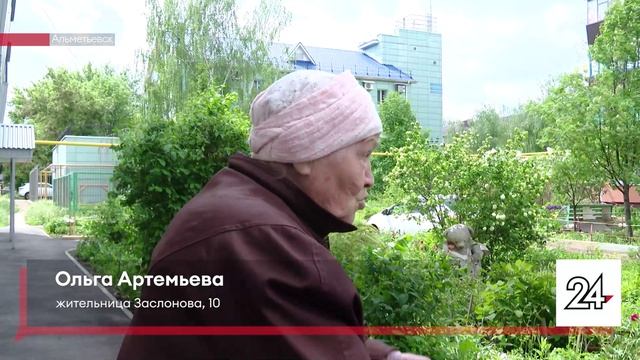 Недобросовестные альметьевцы обрывают цветы с клумб